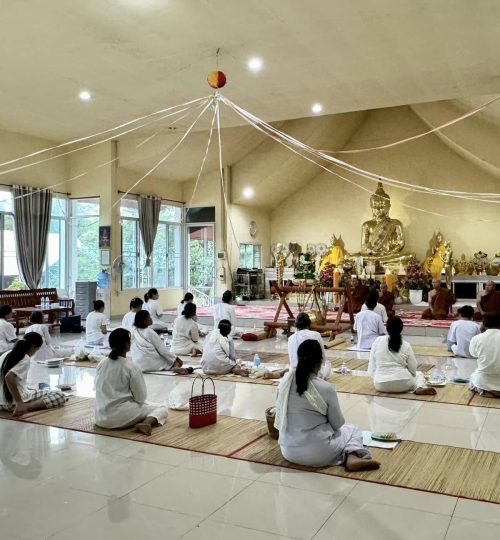 485980741 1049605057193432 1809977355088418010 n