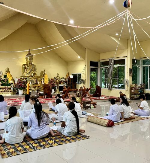 485991038 1049617950525476 3950619575114953290 n